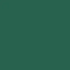 2oz. Acrylic Paint by Craft Smart®