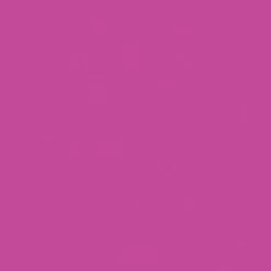 2oz. Acrylic Paint by Craft Smart®
