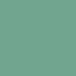 2oz. Acrylic Paint by Craft Smart®