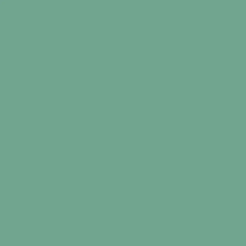 2oz. Acrylic Paint by Craft Smart®