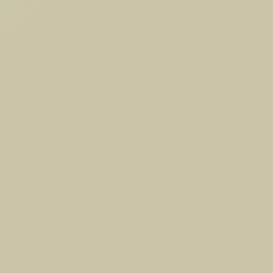2oz. Acrylic Paint by Craft Smart®