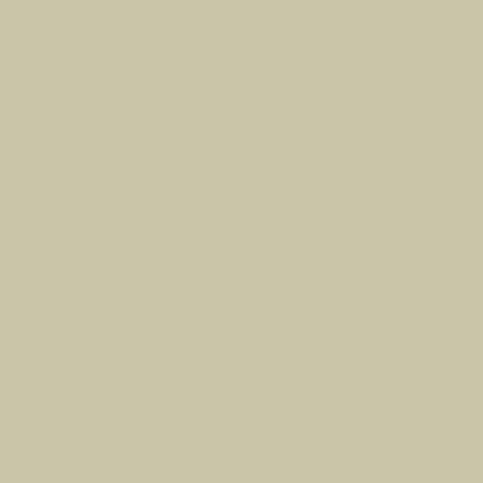 2oz. Acrylic Paint by Craft Smart®