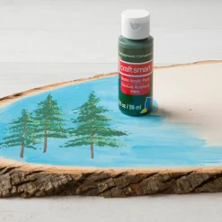 2oz. Acrylic Paint by Craft Smart®