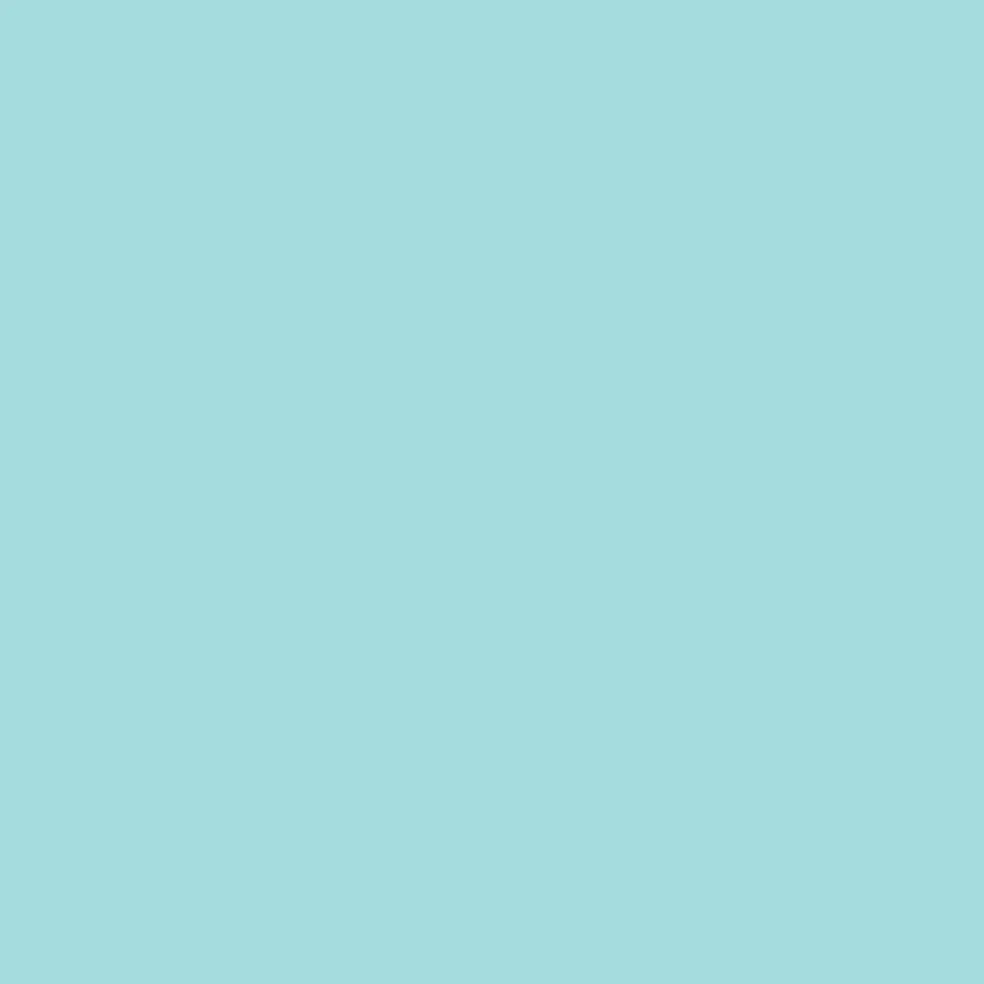 2oz. Acrylic Paint by Craft Smart®