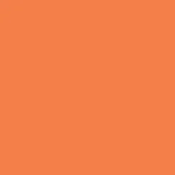 2oz. Acrylic Paint by Craft Smart®