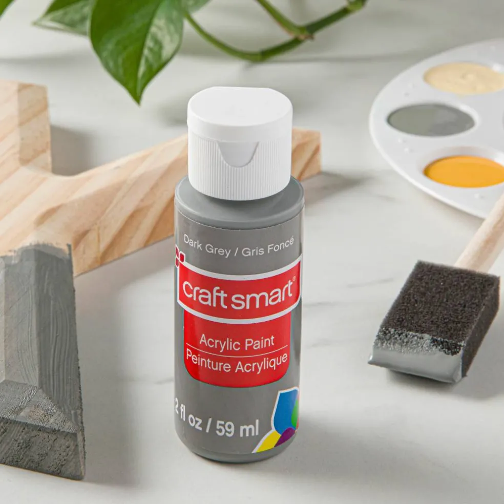 2oz. Acrylic Paint by Craft Smart®