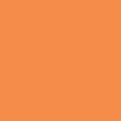 2oz. Acrylic Paint by Craft Smart®