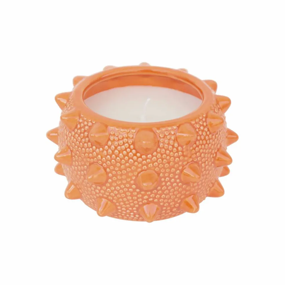 9oz. Citronella, Basil & Clove Scented Candle by Ashland®