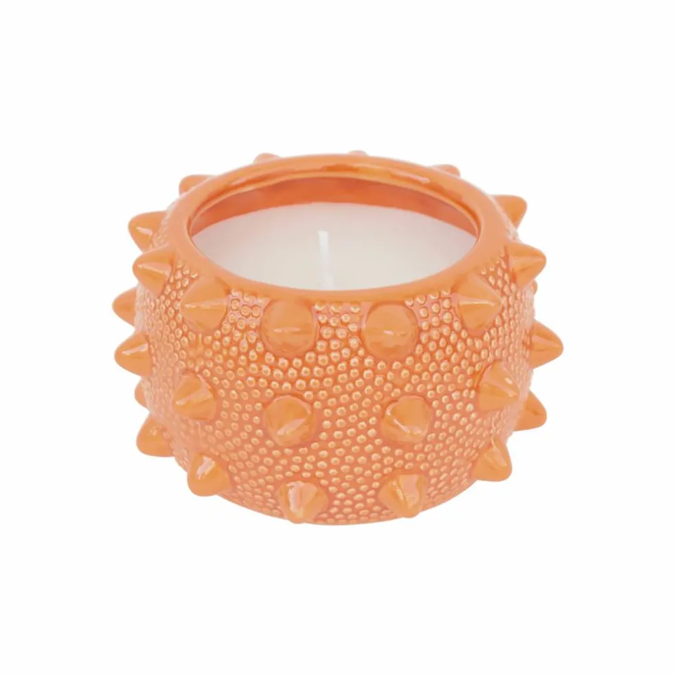 9oz. Citronella, Basil & Clove Scented Candle by Ashland®