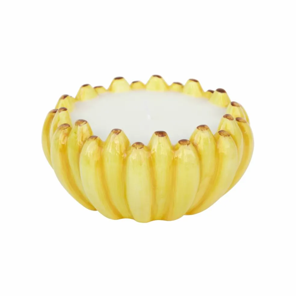 6oz. Citronella, Lemon & Thyme Scented Candle by Ashland®