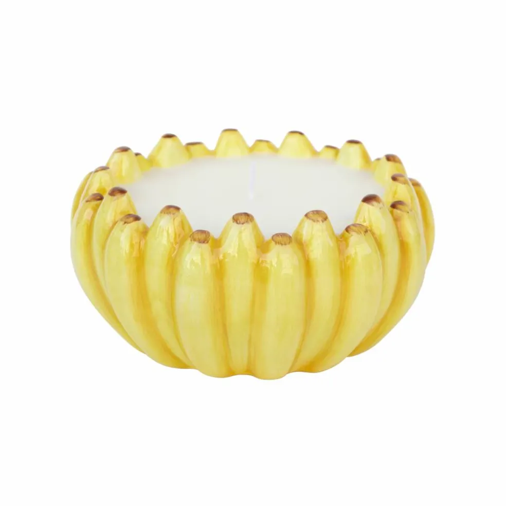 6oz. Citronella, Lemon & Thyme Scented Candle by Ashland®
