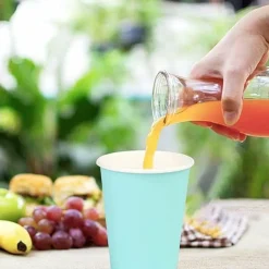 9 oz Disposable Plastic Party Cups, 10 Pack, Multiple Colors