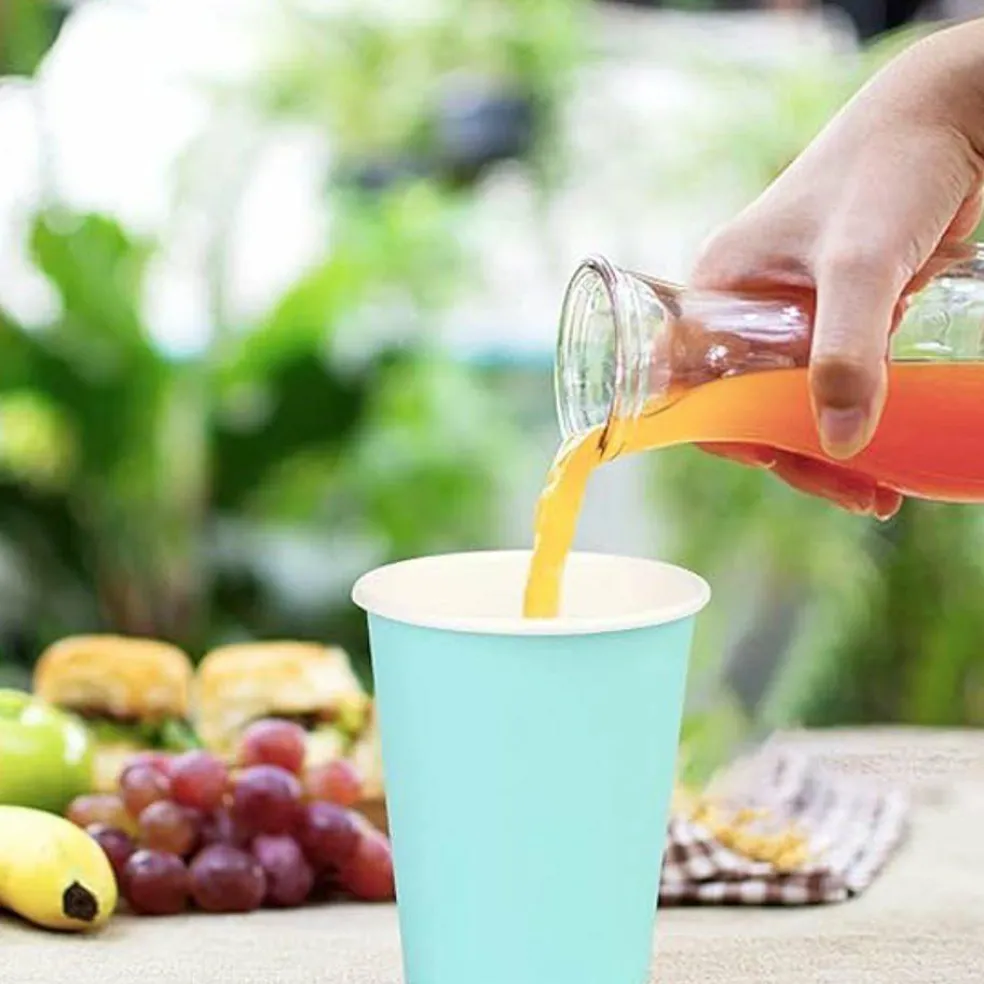 9 oz Disposable Plastic Party Cups, 10 Pack, Multiple Colors
