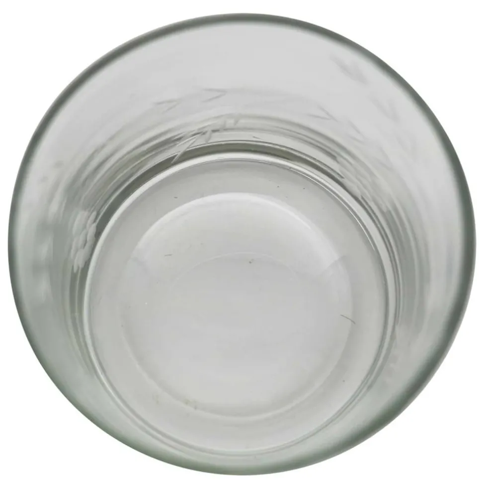 17oz. Glass Tumbler by Ashland®
