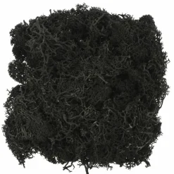 1.7oz. Halloween Moss by Ashland®