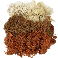 1.7oz. Moss by Ashland
