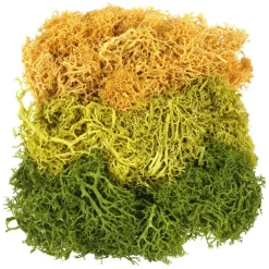 1.7oz. Moss by Ashland