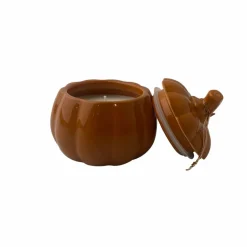 11oz. Pumpkin Hazelnut Scented Ceramic Pumpkin Candle by Ashland®
