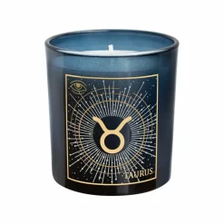 6oz. Zodiac Scented Candle by Ashland®