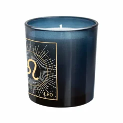 6oz. Zodiac Scented Candle by Ashland®