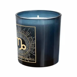 6oz. Zodiac Scented Candle by Ashland®