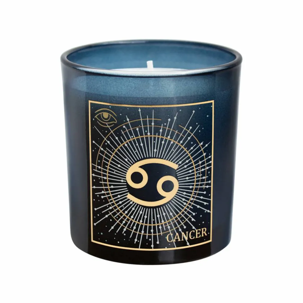 6oz. Zodiac Scented Candle by Ashland®