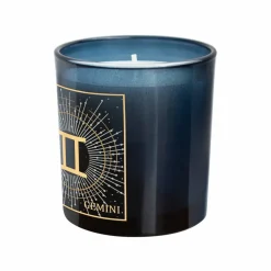 6oz. Zodiac Scented Candle by Ashland®