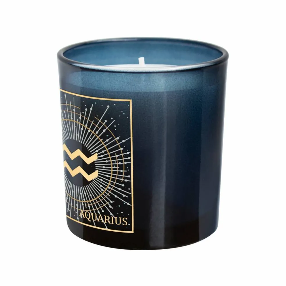 6oz. Zodiac Scented Candle by Ashland®