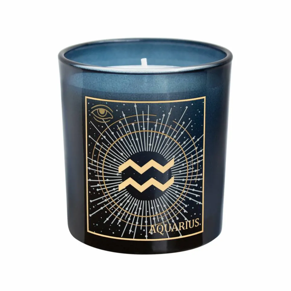 6oz. Zodiac Scented Candle by Ashland®