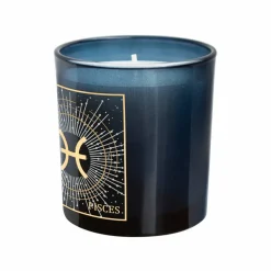6oz. Zodiac Scented Candle by Ashland®