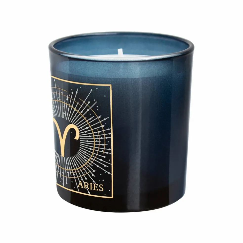 6oz. Zodiac Scented Candle by Ashland®