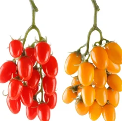 2 Pack Artificial Tomato String Decoration, Realistic Hanging Cherry Tomato Vine, Lifelike Fake Fruit & Vegetable Props for Kitchen Decor, Harvest Display, Photography Props, Home, Café & Restaurant Decoration