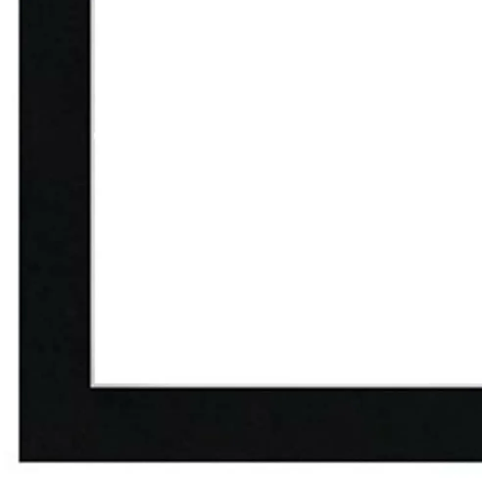2-Pack Basics Multipurpose Frames by Studio Décor®