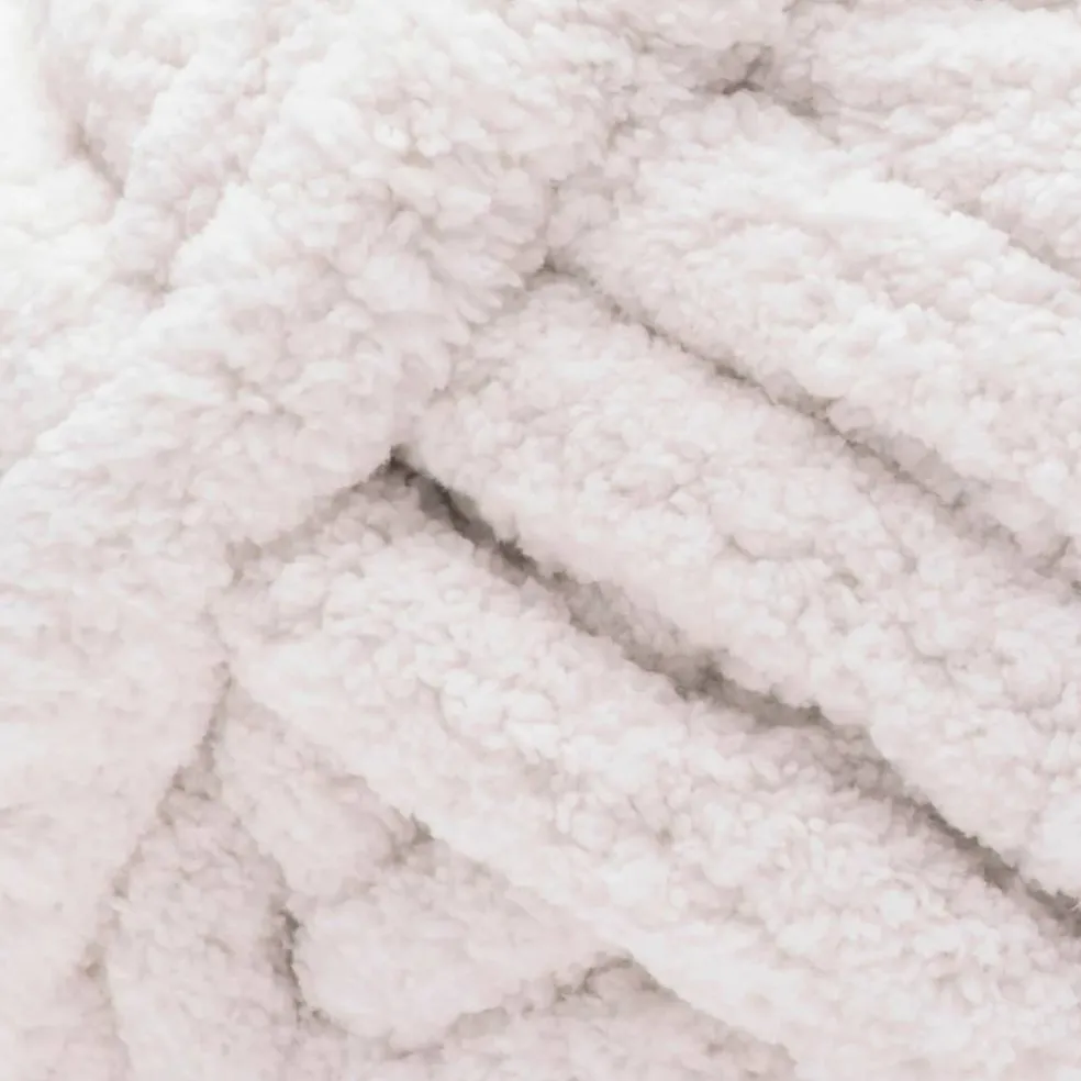 12 Pack: Bernat® Blanket Big™ Yarn