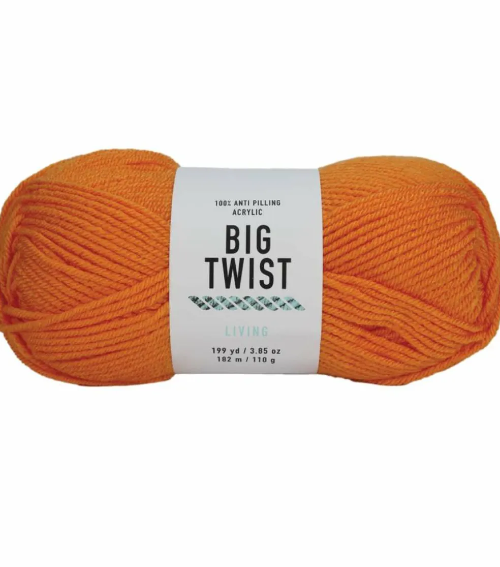 6 Pack: Big Twist® Living Yarn