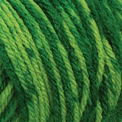 12 Pack: Big Twist® Value Ombre Yarn