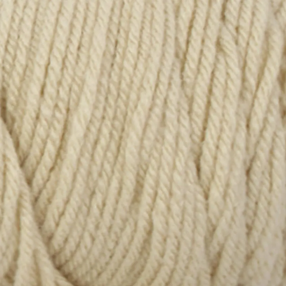 12 Pack: Big Twist® Value Yarn