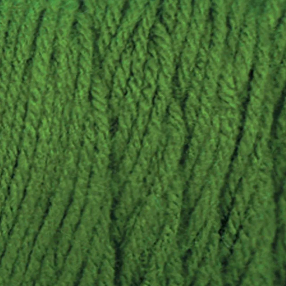 12 Pack: Big Twist® Value Yarn