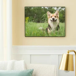 6 Pack: Black Frame, Basics by Studio Décor®