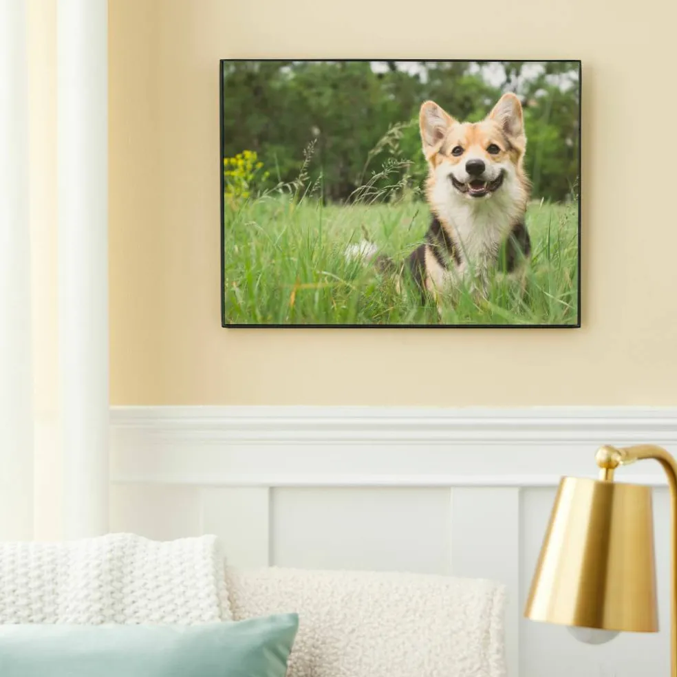6 Pack: Black Frame, Basics by Studio Décor®