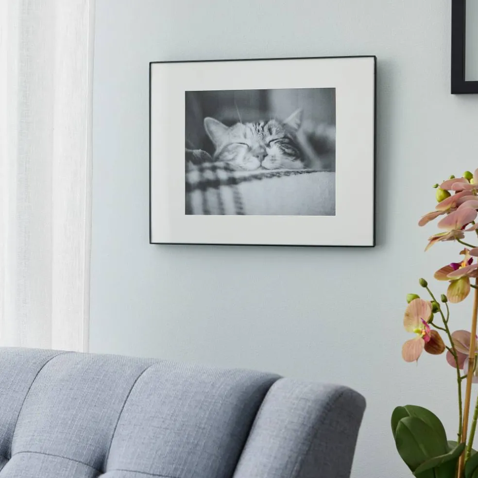 6 Pack: Black Frame with Mat, Basics by Studio Décor®