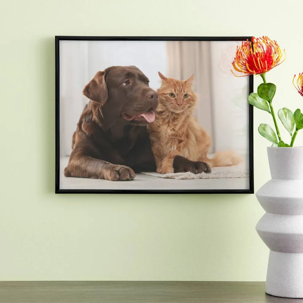 12 Pack: Black Multipurpose Frame, Basics by Studio Décor®