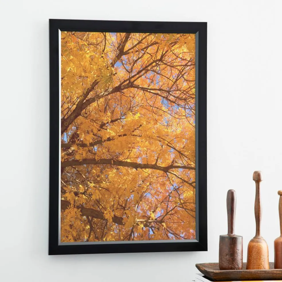 8 Pack: Black Poster Frame, Ventura™ by Studio Décor®