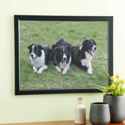8 Pack: Black Poster Frame, Ventura™ by Studio Décor®