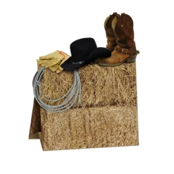 12 Pack Bulk 3-D Western Party Centerpiece