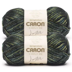 2 Pack Caron® Simply Me Luster™ Yarn