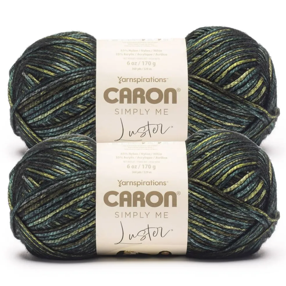 2 Pack Caron® Simply Me Luster™ Yarn