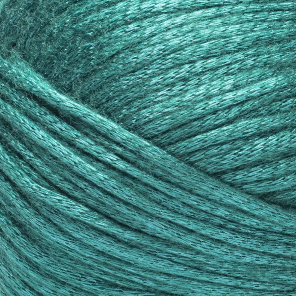 2 Pack Caron® Simply Me Luster™ Yarn