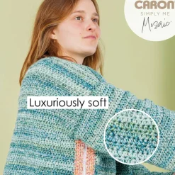 2 Pack Caron® Simply Me Mosaic™ Yarn