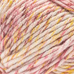 2 Pack Caron® Simply Me Mosaic™ Yarn